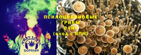 2c-b Сатка
