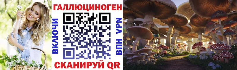 нарко площадка наркотические препараты  Кинель  Псилоцибиновые грибы ЛСД 
