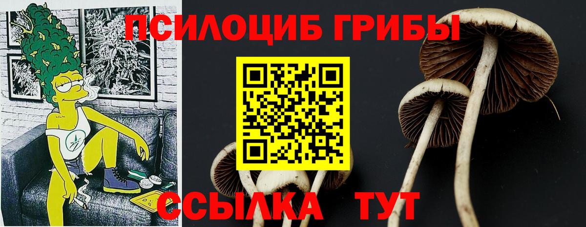 Кинель  Псилоцибиновые грибы ЛСД  Псилоцибиновые грибы мухоморы  Вход с VPN 
