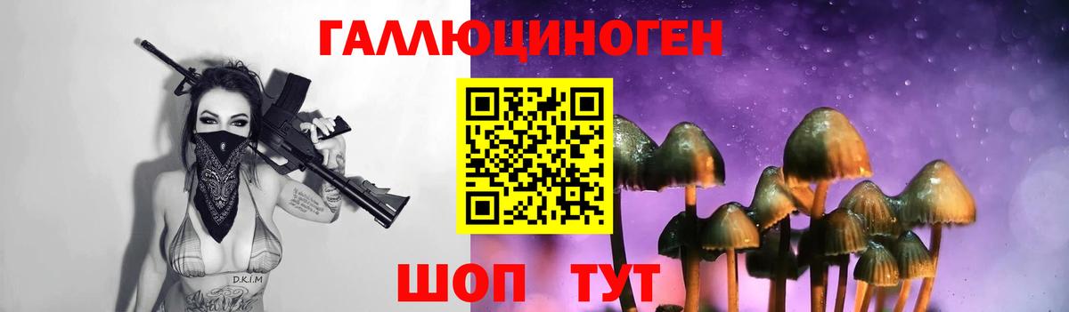 Галлюциногенные грибы Psilocybine cubensis Кинель